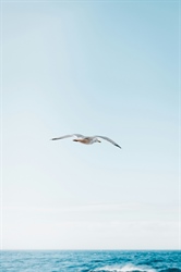 Diamo valore al libero arbitrio!