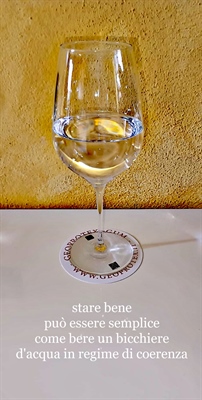 Acqua in regime di coerenza = Equilibrio elettrodinamico del corpo umano = Benessere e Longevità