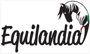 Equilandia & Cristina Malucelli