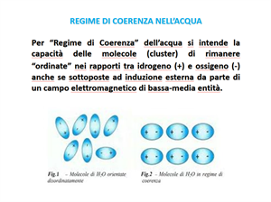 ACQUA ORDINATA IN REGIME DI COERENZA: fisica e biochimica per un approccio olistico a salute, benessere e longevità.