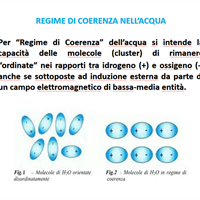 ACQUA ORDINATA IN REGIME DI COERENZA: fisica e biochimica...